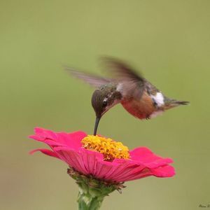 Meet your Posher, Tammy